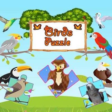 birds-puzzle bird jigsaw puzzles for kids