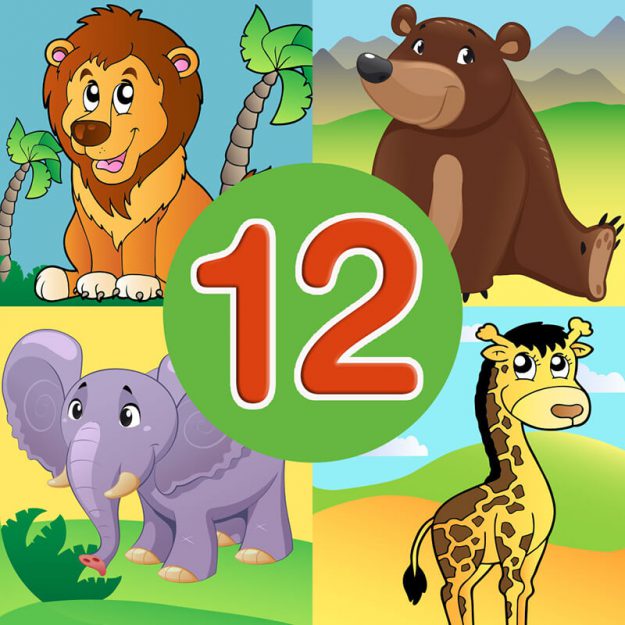Animal quiz 12