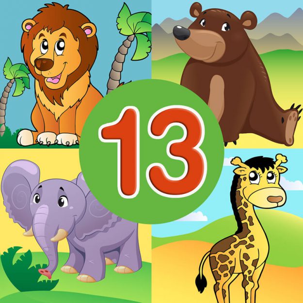 Animal quiz 13