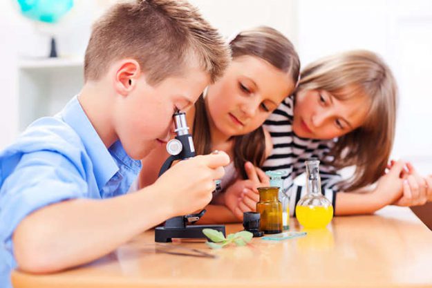 stem activities for kindergarten