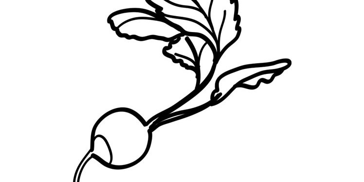 Beetroot