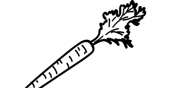 Carrot