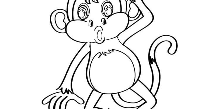 Monkey