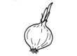 Onion
