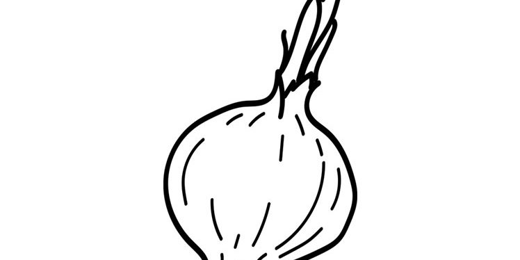 Onion
