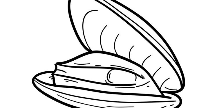 Oyster Coloring Worksheet