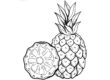 Pineapple-Coloring-Worksheet