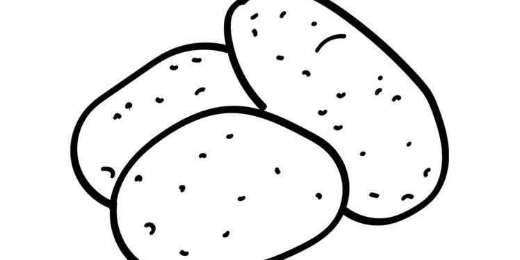 Potato