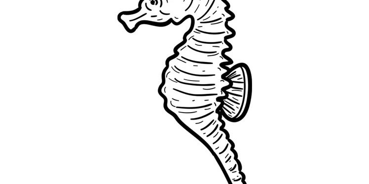 Seahorse Coloring Worksheet
