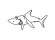 Shark Coloring Worksheet