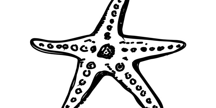 Starfish Coloring Worksheet