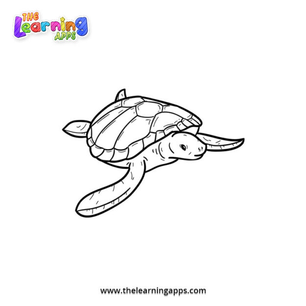 Turtle Coloring Worksheet