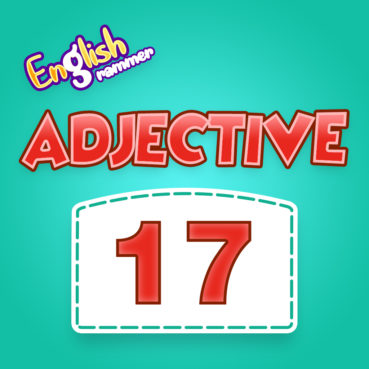 Adjective Quiz 17