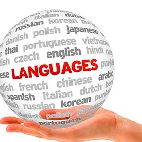 language quiz language quiz