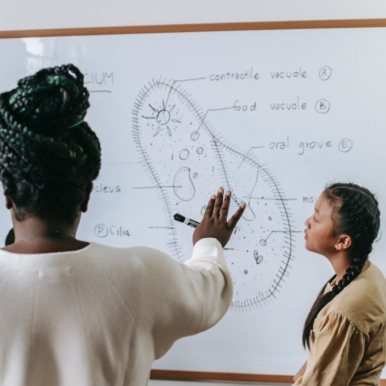 teacher explaining diagram to student