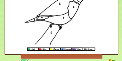 Color by number Bird Color by number Bird
