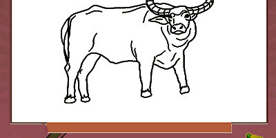 buffalo-worksheet-for-kids