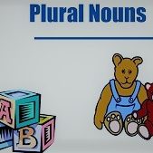 Plural Noun Plural Noun