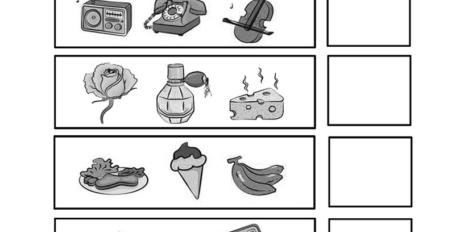 5 senses 10