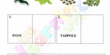 Animal_Life_Cycle_04 Animal Life Cycle 04
