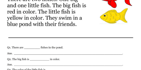 Colorful Fishes Comprehension