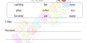 Composition Worksheet 08