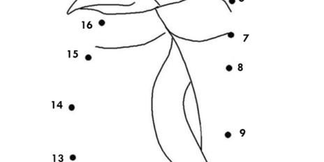 Dot to Dot 02
