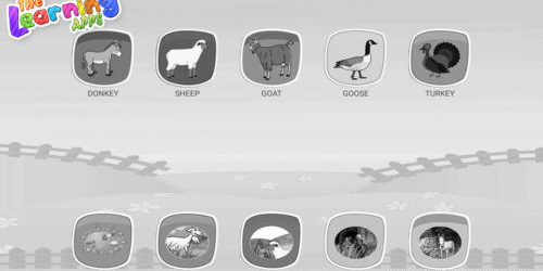 Farm Animals Matching 05