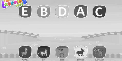 Farm Animals Matching 19