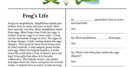 Frog's Life Comprehension Worksheet