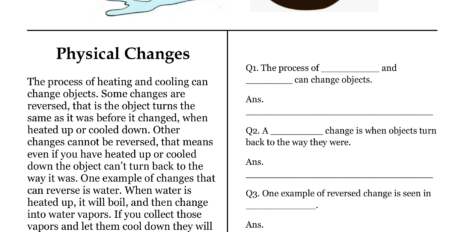 Physical Changes Comprehension Worksheet