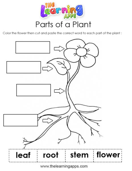 Download Free Printable Plant Worksheets 01 for Kids