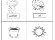 Plant Worksheets 04