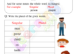 Plurals Worksheets 10