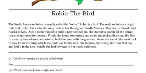 Robin The Bird Comprehension