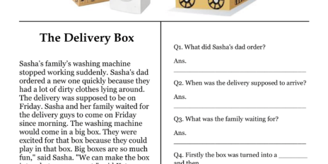 The Delivery Box Comprehension Worksheet