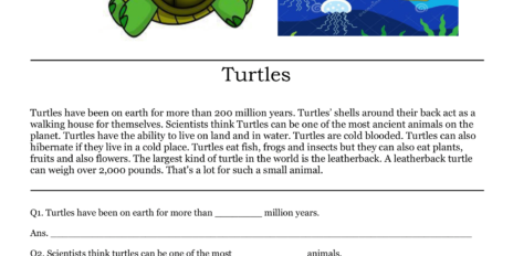 Download free printable Turtles Comprehension for kids