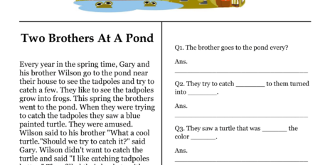 Two Brothers At A Pond Comprehension Worksheet