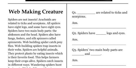 Web Making Creature Comprehension Worksheet