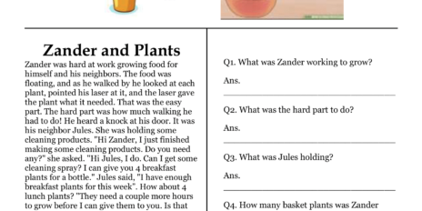 Zander and Plants Comprehension Worksheet