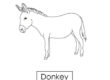 donkey 05