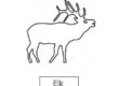 elk 01