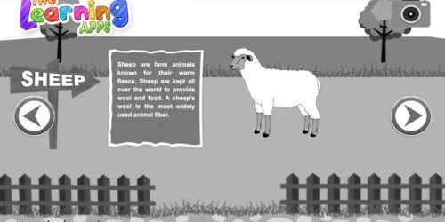 sheep (1)