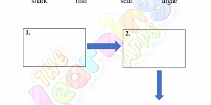 Animal Food Chain 04