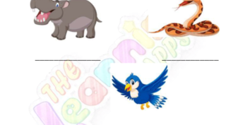 Animals Classification 10