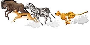 Wild animals group are running cartoon style isolated on white b Wild animals