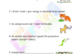 Basic Needs of Animal 10