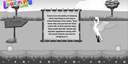 Swan-1