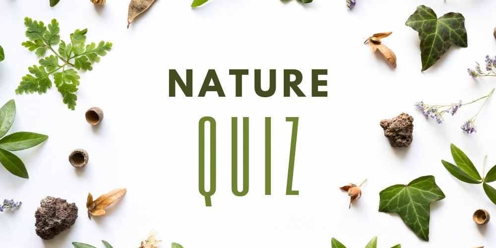 nature-quiz