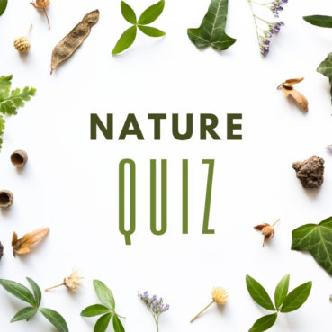 nature-quiz